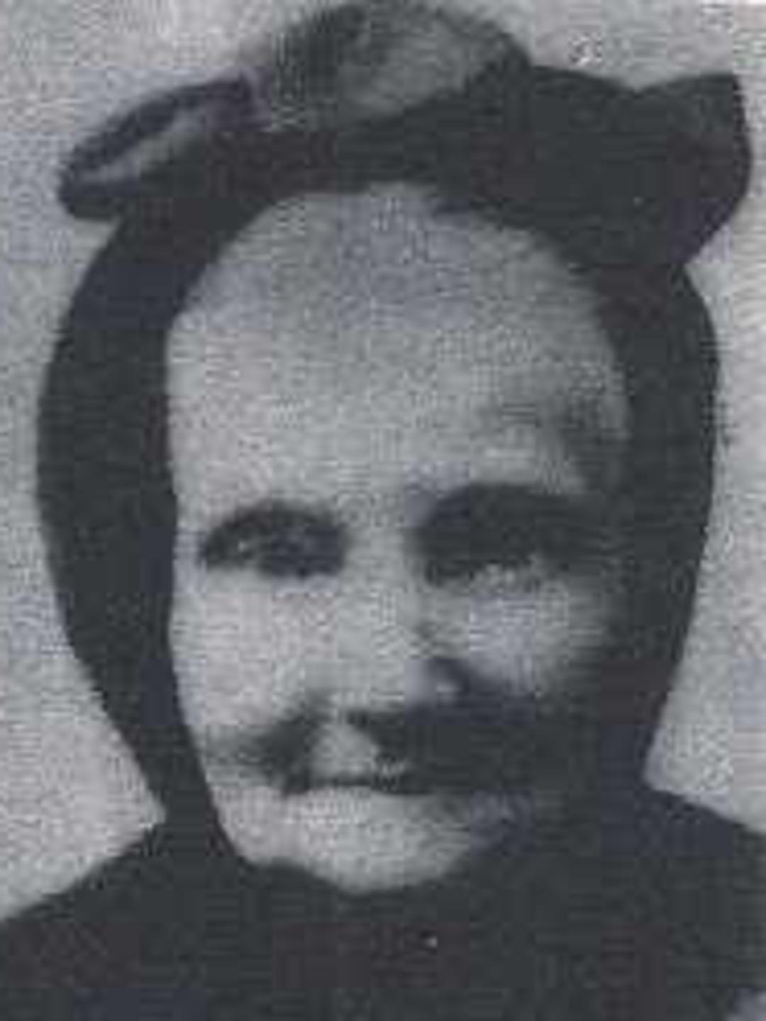 Helen Elenora Klinger Petersen (1826 - 1905) Profile